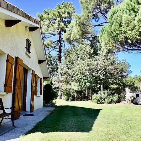 Au Milieu Des Pins Climatisee * Lacanau