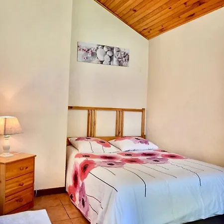 Villa Au Milieu Des Pins Climatisee Lacanau