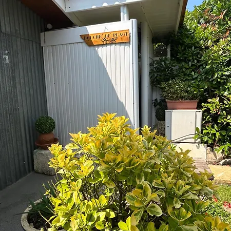 Au Milieu Des Pins Climatisee Villa