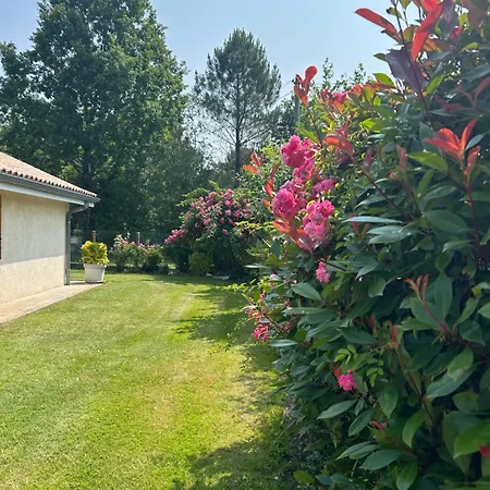 别墅 Au Milieu Des Pins Climatisee