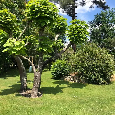 Au Milieu Des Pins Climatisee